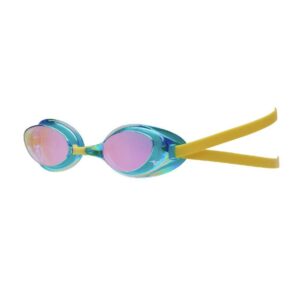Swim Goggles (non-cushion type)